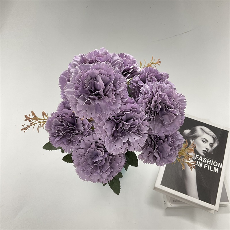 Product Showcase Image 4