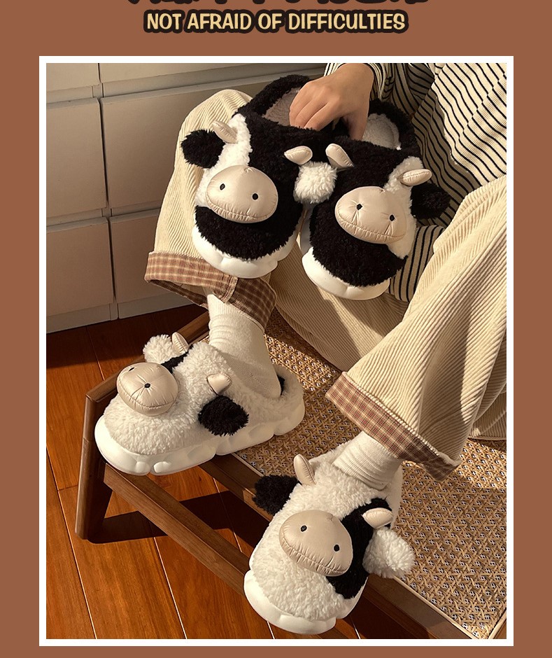 Product Display Details 04