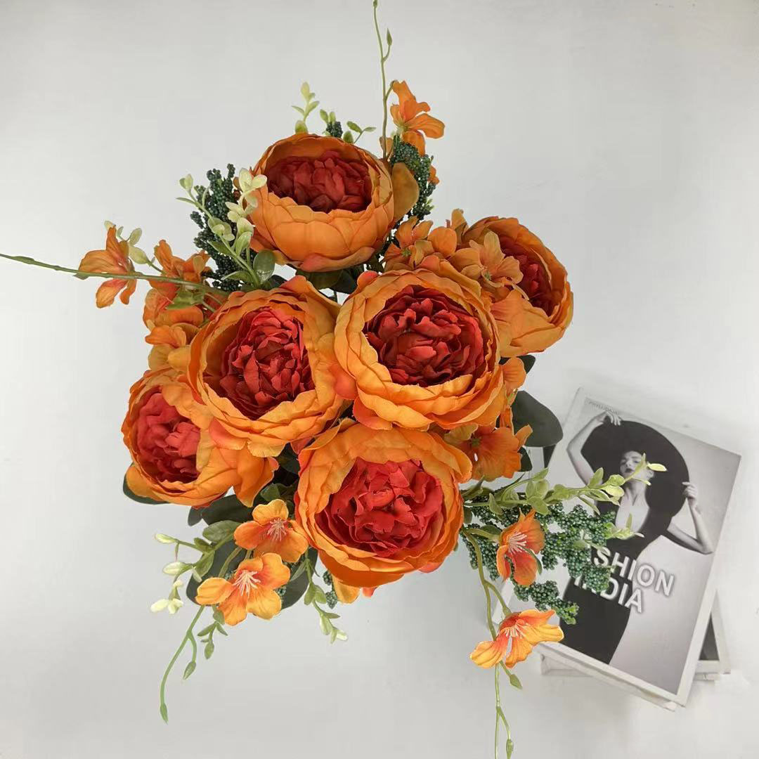 Product Display Showcase 5