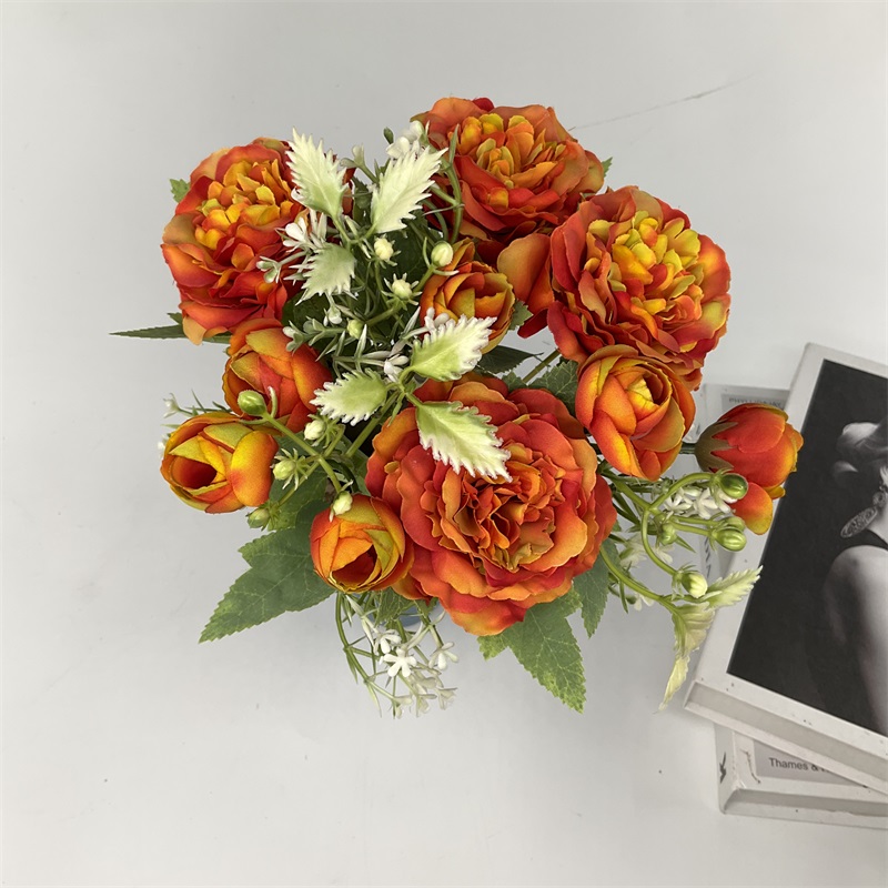 Product Display Image 1