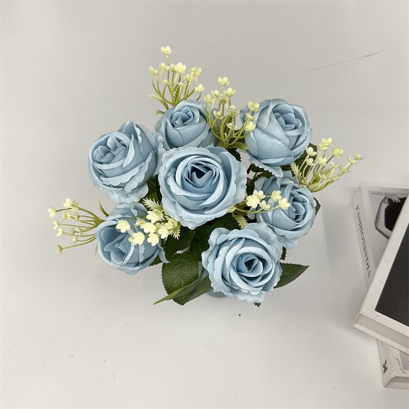 Product Display Image 5