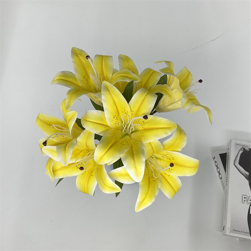 Product Showcase View 6