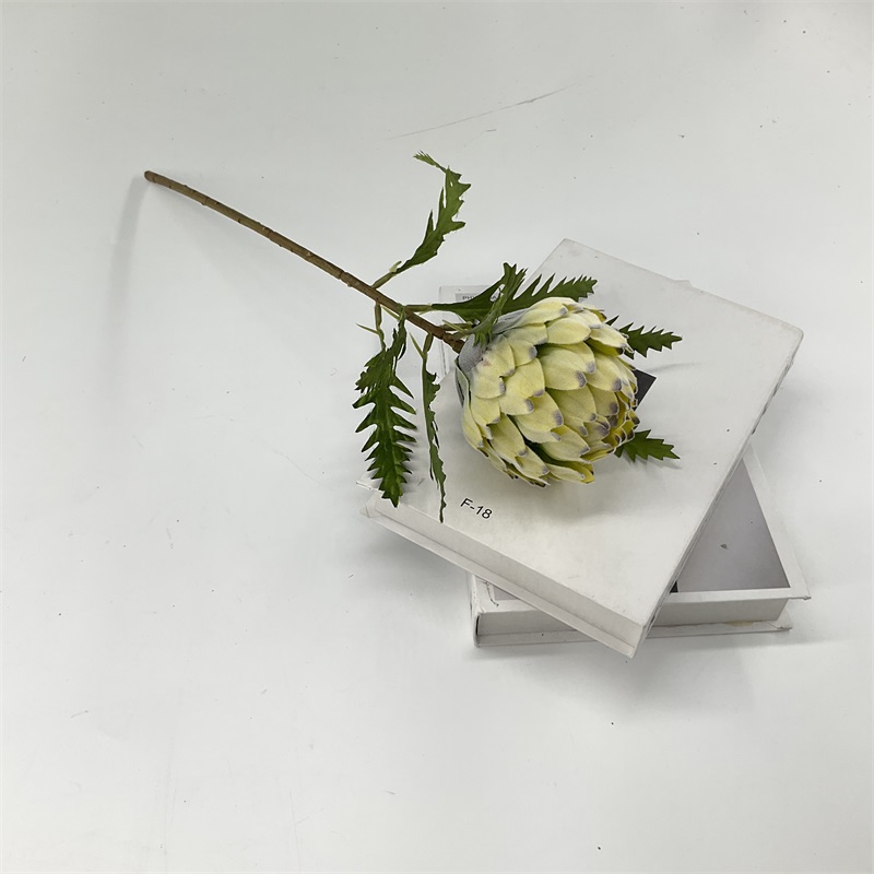 Product Showcase Image 3