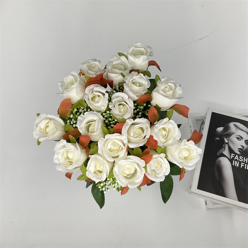 High Quality Product Showcase Image 1