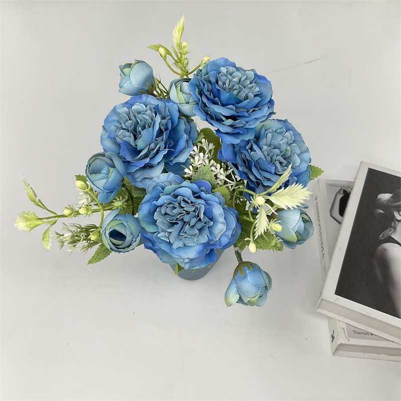 Product Display Image 2