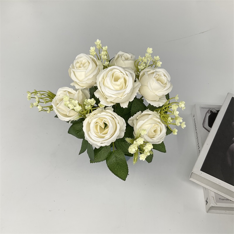 Product Display Image 4