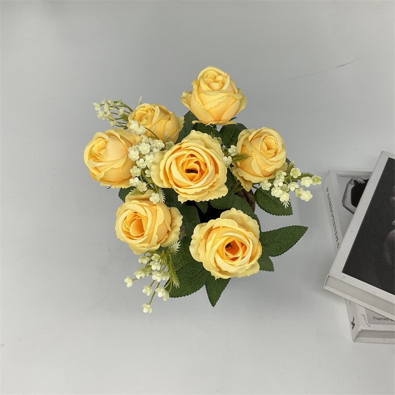 Product Display Image 3