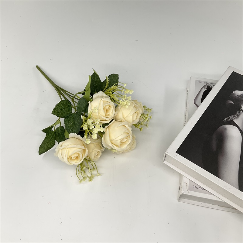 Product Display Image 8