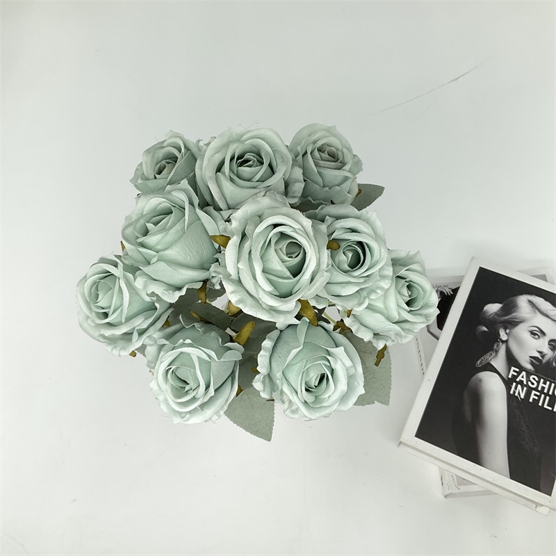 Product Showcase Image 1