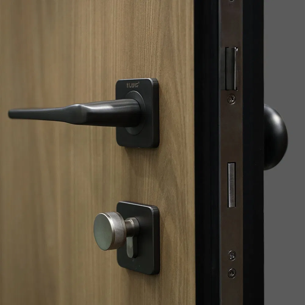 High-End Customized Exterior Security Metal Armored Entrance Steel Door for Anti-Theft