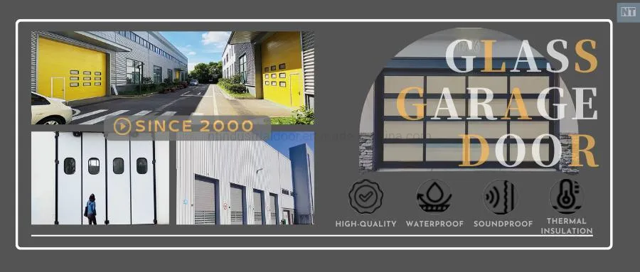 Black Polycarbonate Aluminum Modern Glass Garage Door