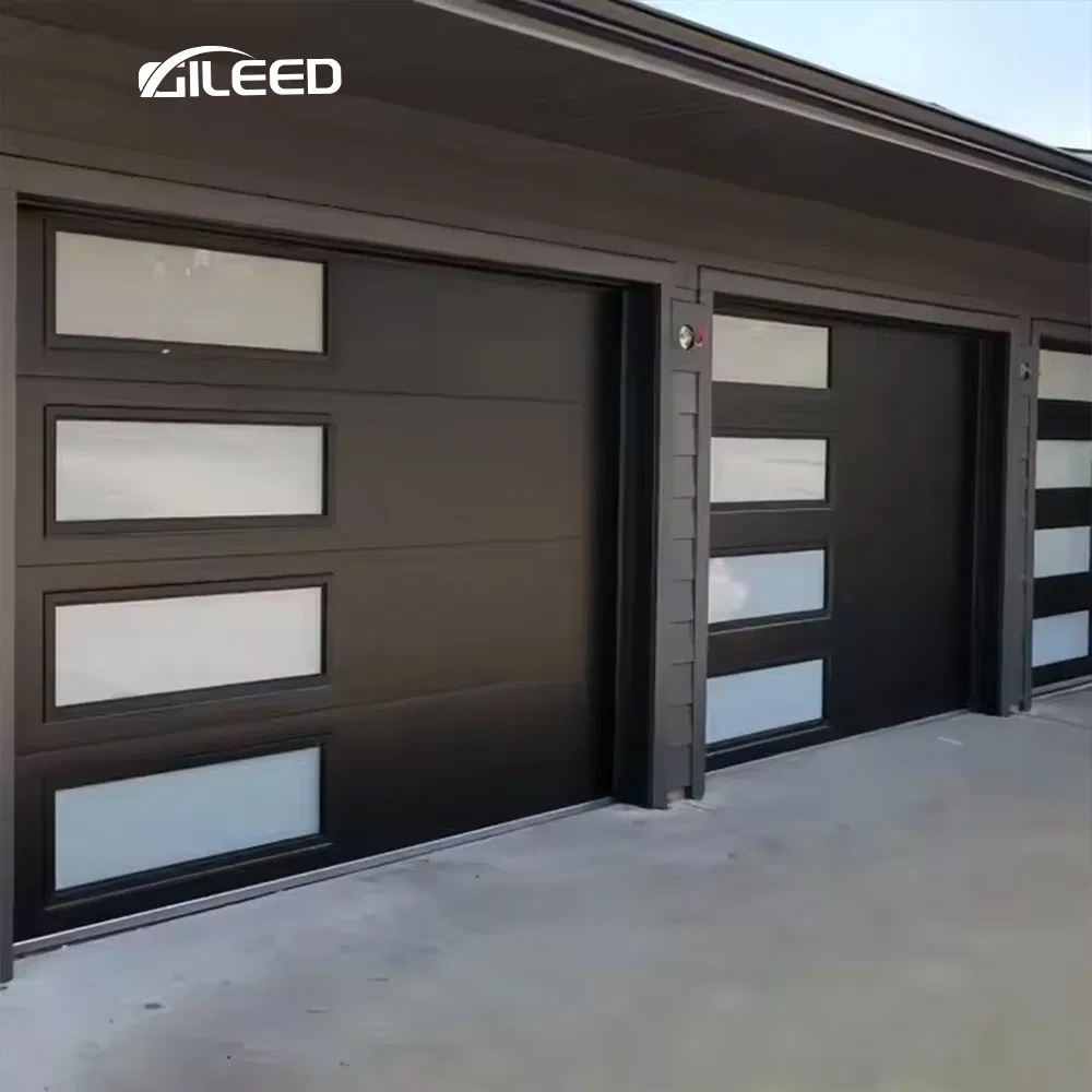 Factory Sell Electric Double Garage Door with Perspective Window Black Frosted Typhone Proof Insulation Door