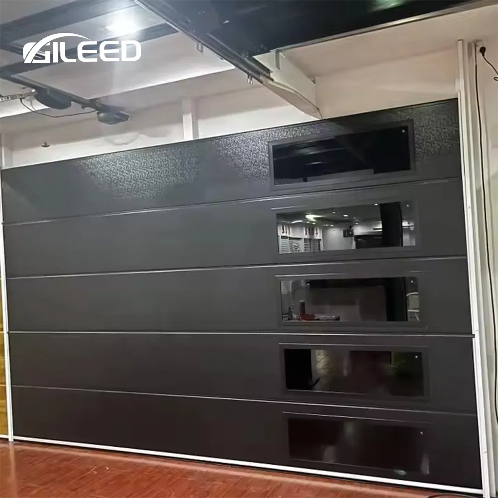 Factory Sell Electric Double Garage Door with Perspective Window Black Frosted Typhone Proof Insulation Door