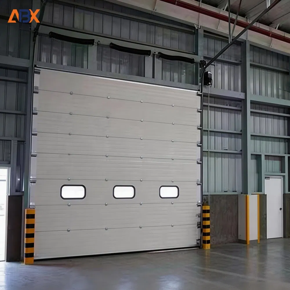 Premium Automatic Sectional Overhead Plexiglass Black Frame Frosted Full View Modern Door for Industrial Garage Lift Solutions