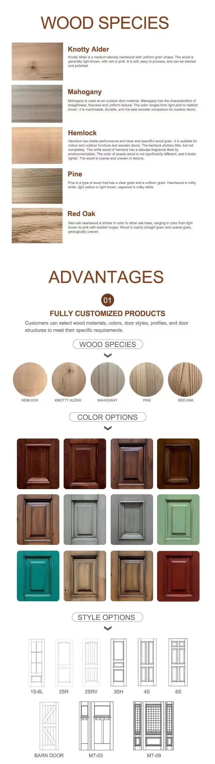 Wooden Door Design 4