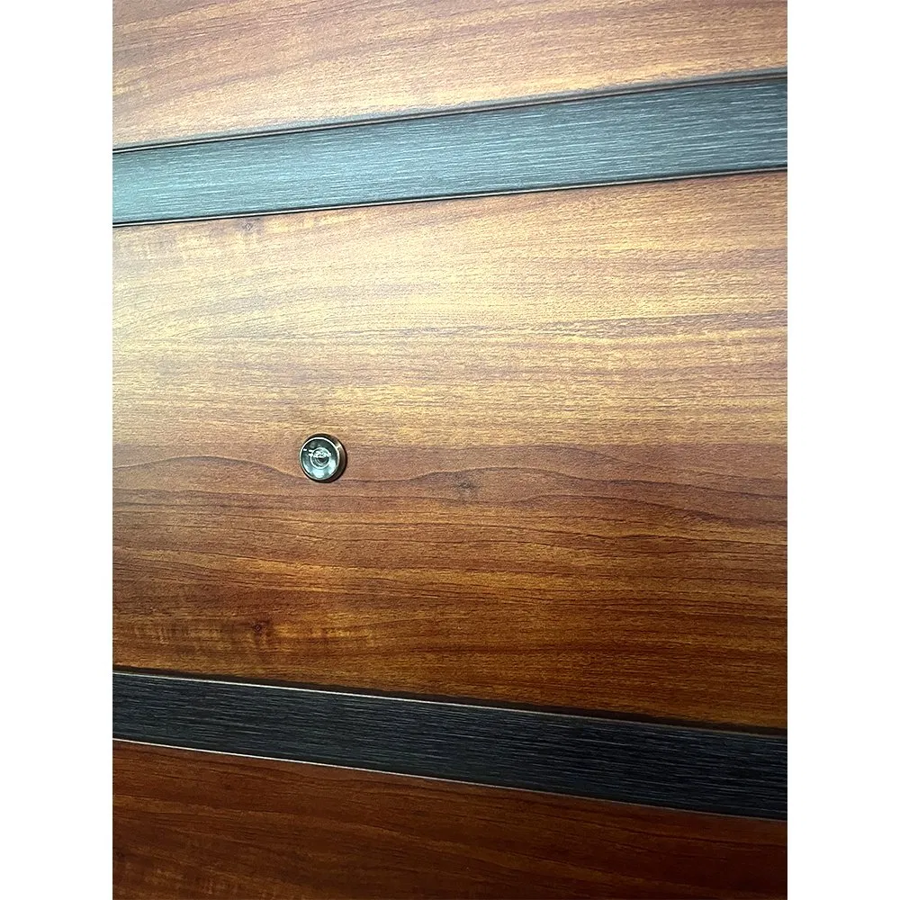 Bulk Supply 50mm Thickness Steel Door, Fireproof &amp; Soundproof, Custom Size/Color