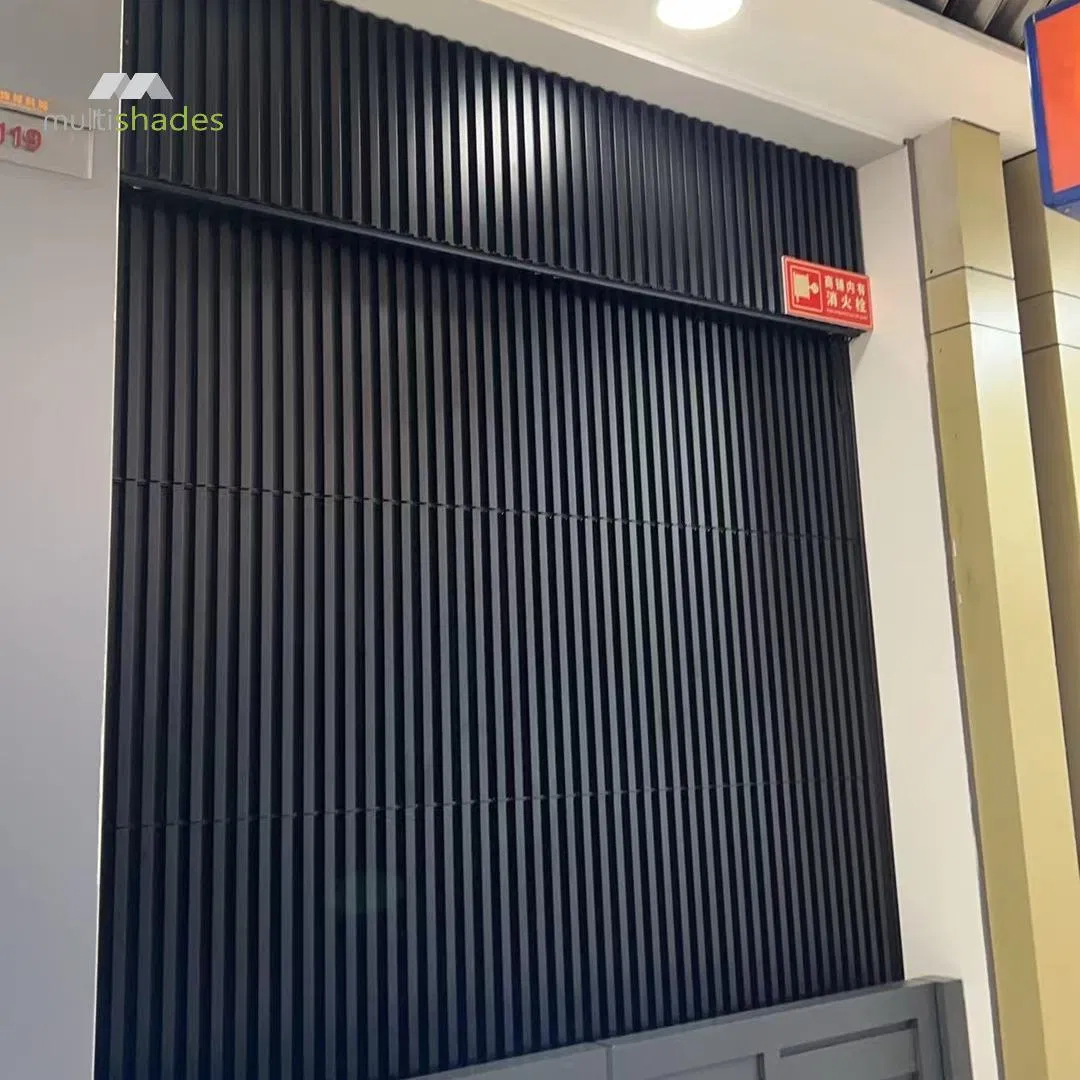 Multishades Automatic Electric Residential Vertical Garage Door Aluminum Modern Insulated Soundproof for Villas Residential