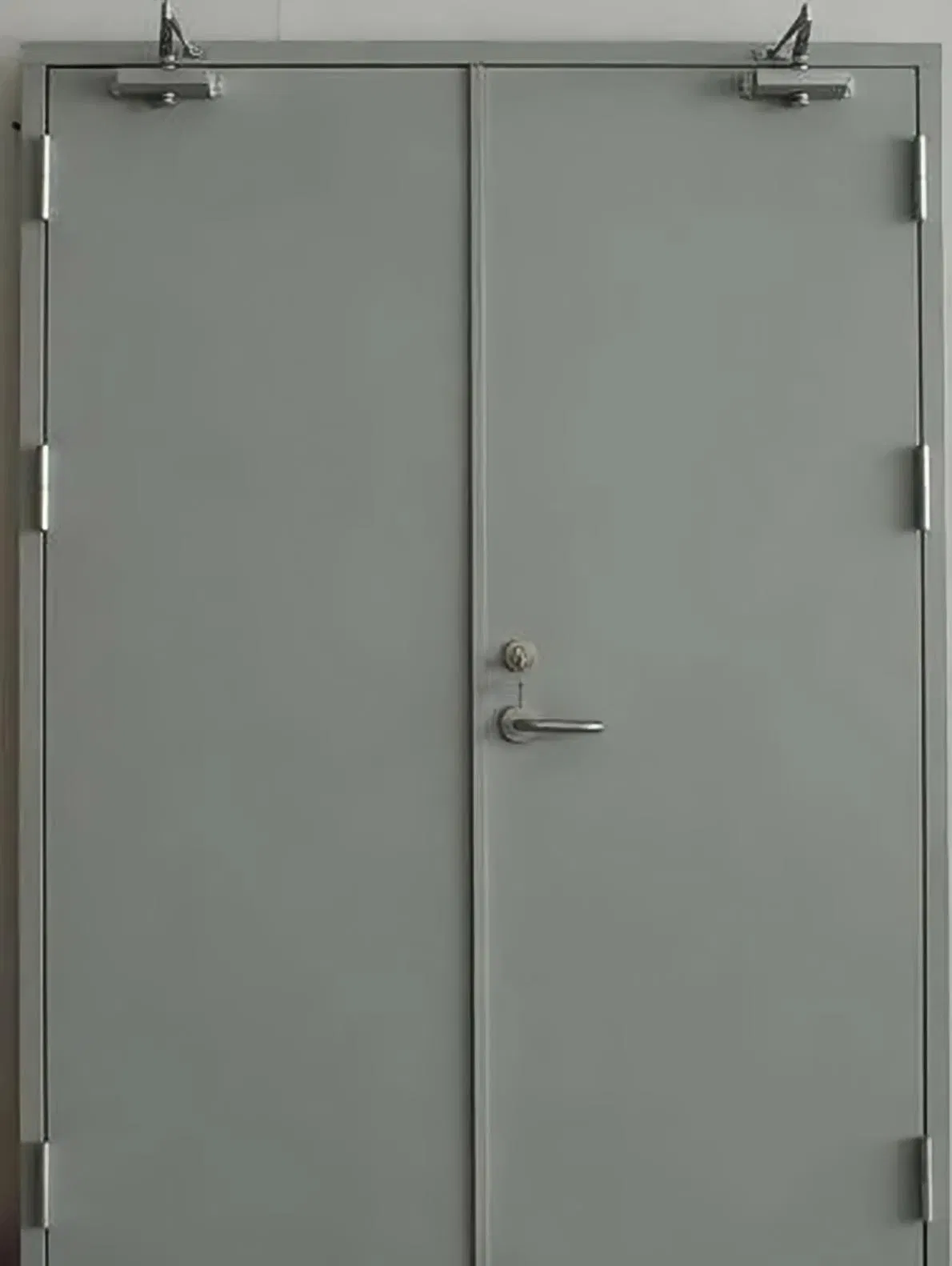 High-Quality Fire Rated Steel Swing Doors for Businesses