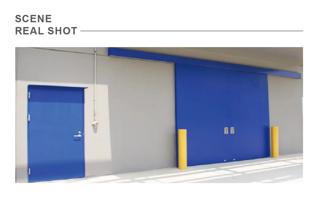 Security Door View 3