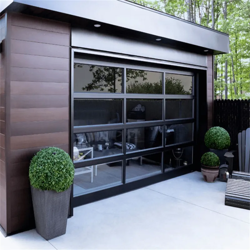 Frameless Garage Door View 5