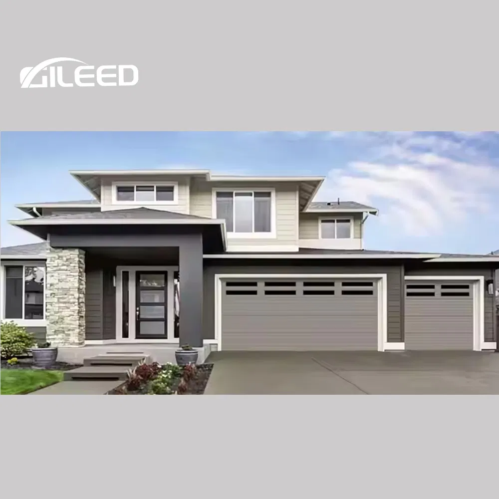 Factory Sell Electric Double Garage Door with Perspective Window Black Frosted Typhone Proof Insulation Door