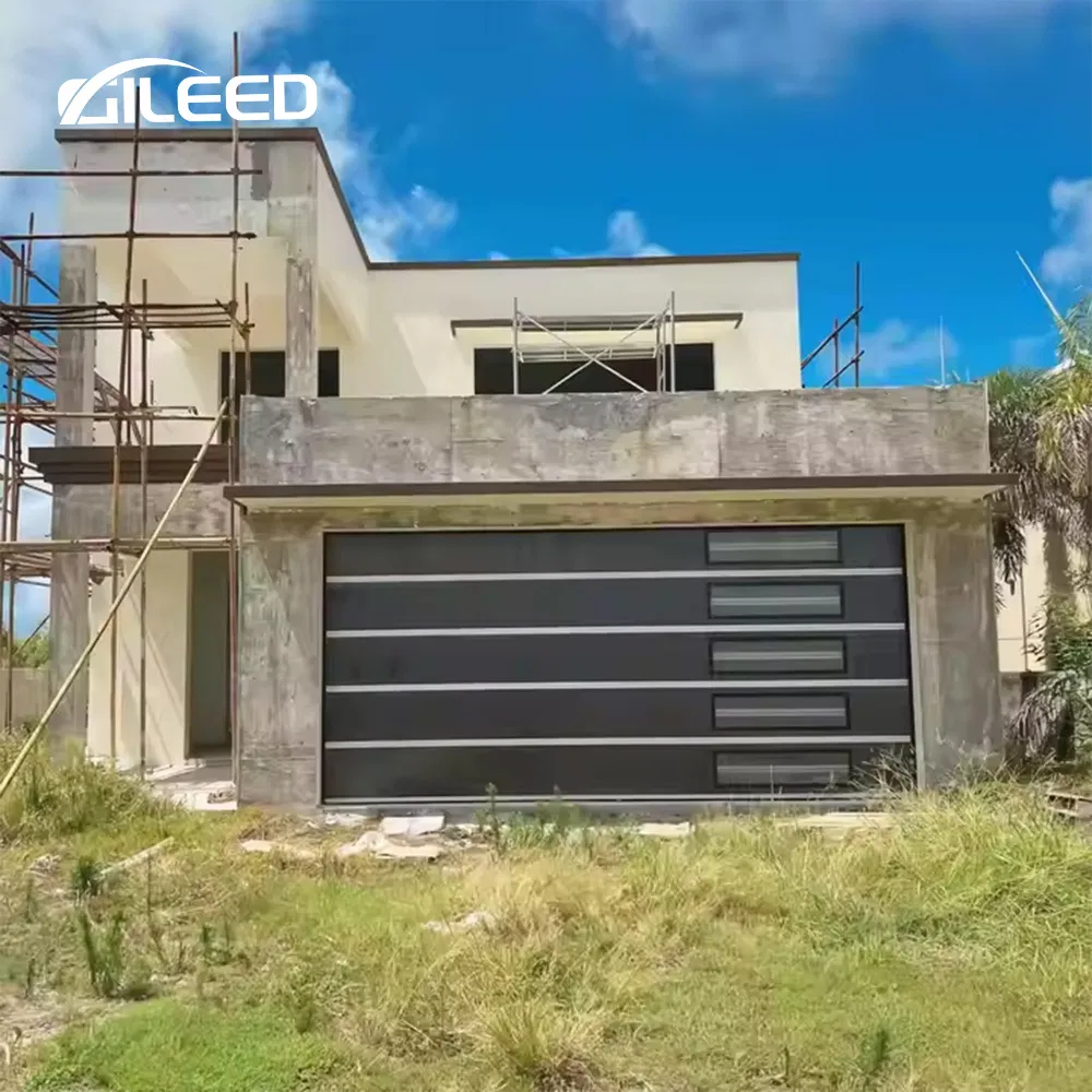 Factory Sell Electric Double Garage Door with Perspective Window Black Frosted Typhone Proof Insulation Door