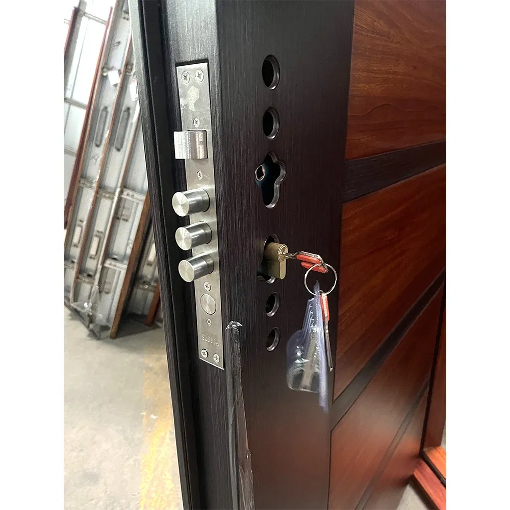 Bulk Supply 50mm Thickness Steel Door, Fireproof &amp; Soundproof, Custom Size/Color