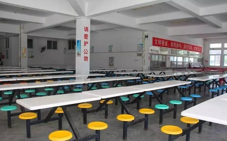 OEM ODM Custom GFRP Furniture Canteen School Dining Table and Chair