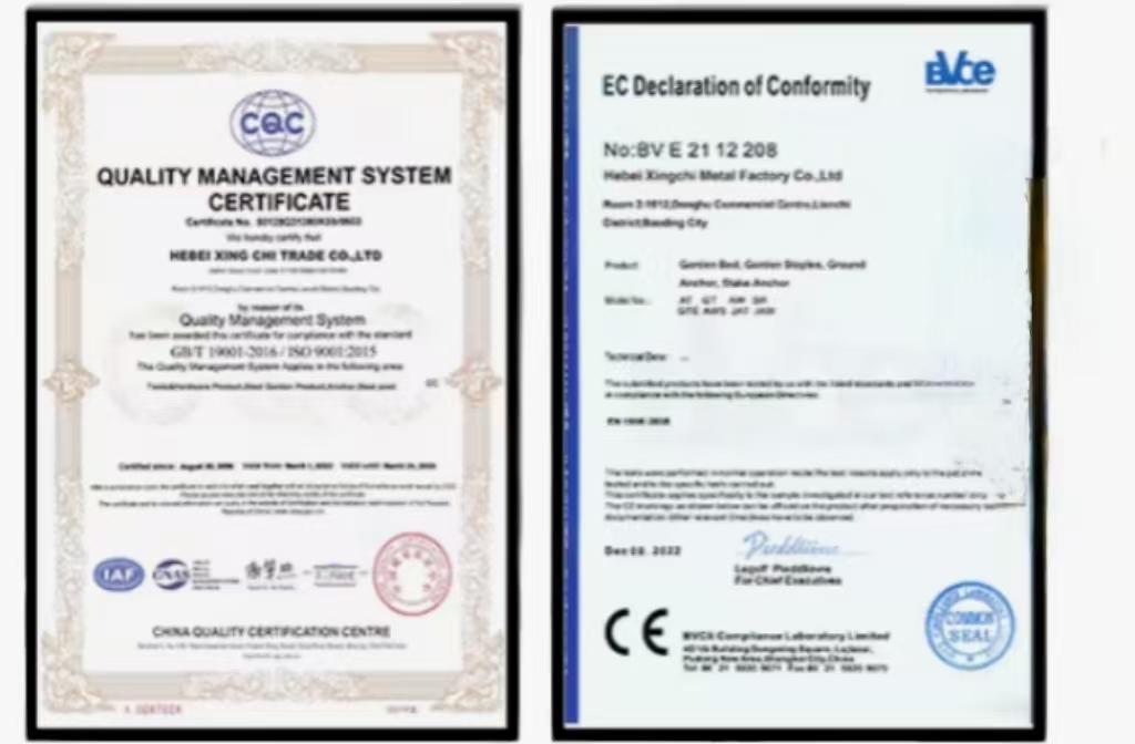 Certificate 2