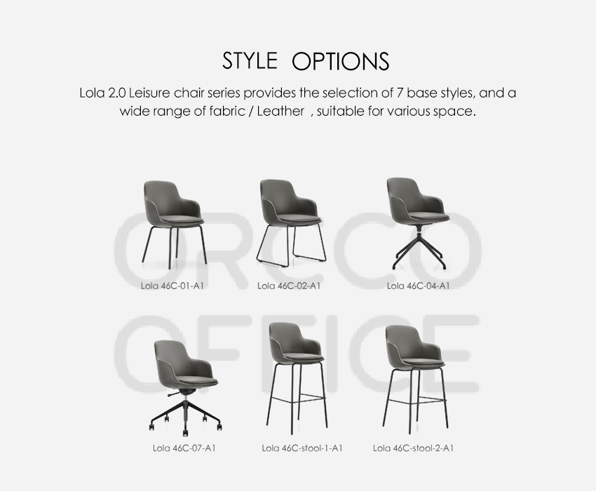 Upholstery Options 4