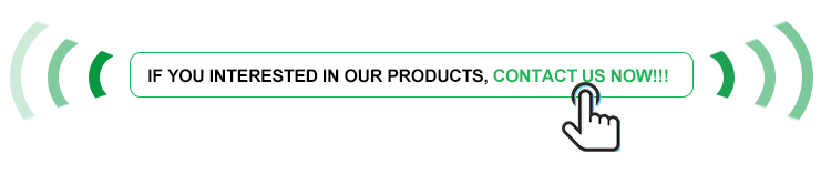 Our Services