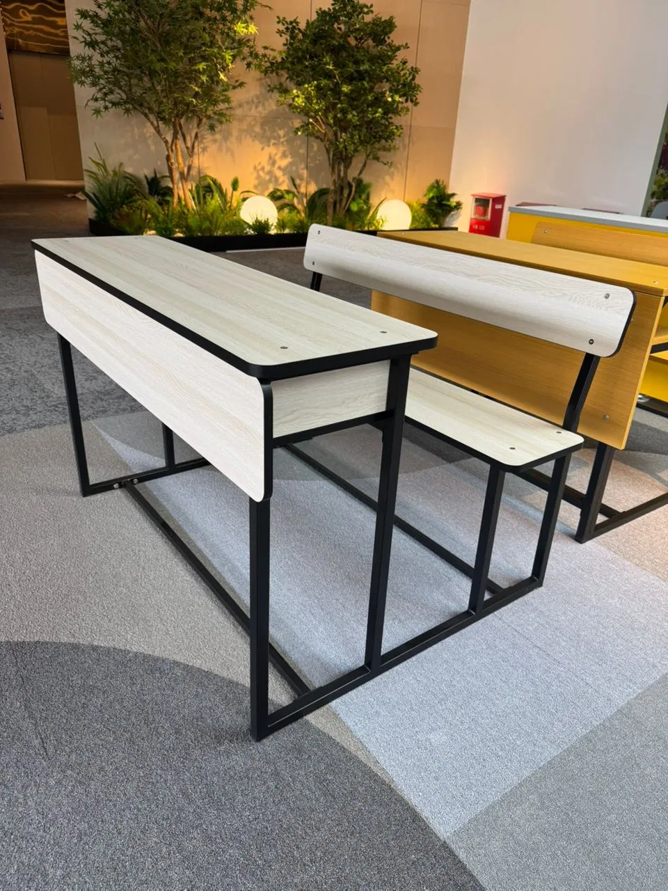 Auditorium Lecture Hall Classroom Study Student Class School Bench Double Desk and Chair