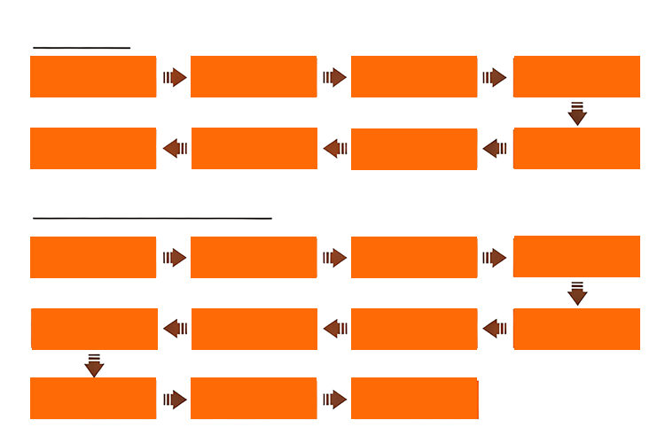 OEM and ODM Process Map