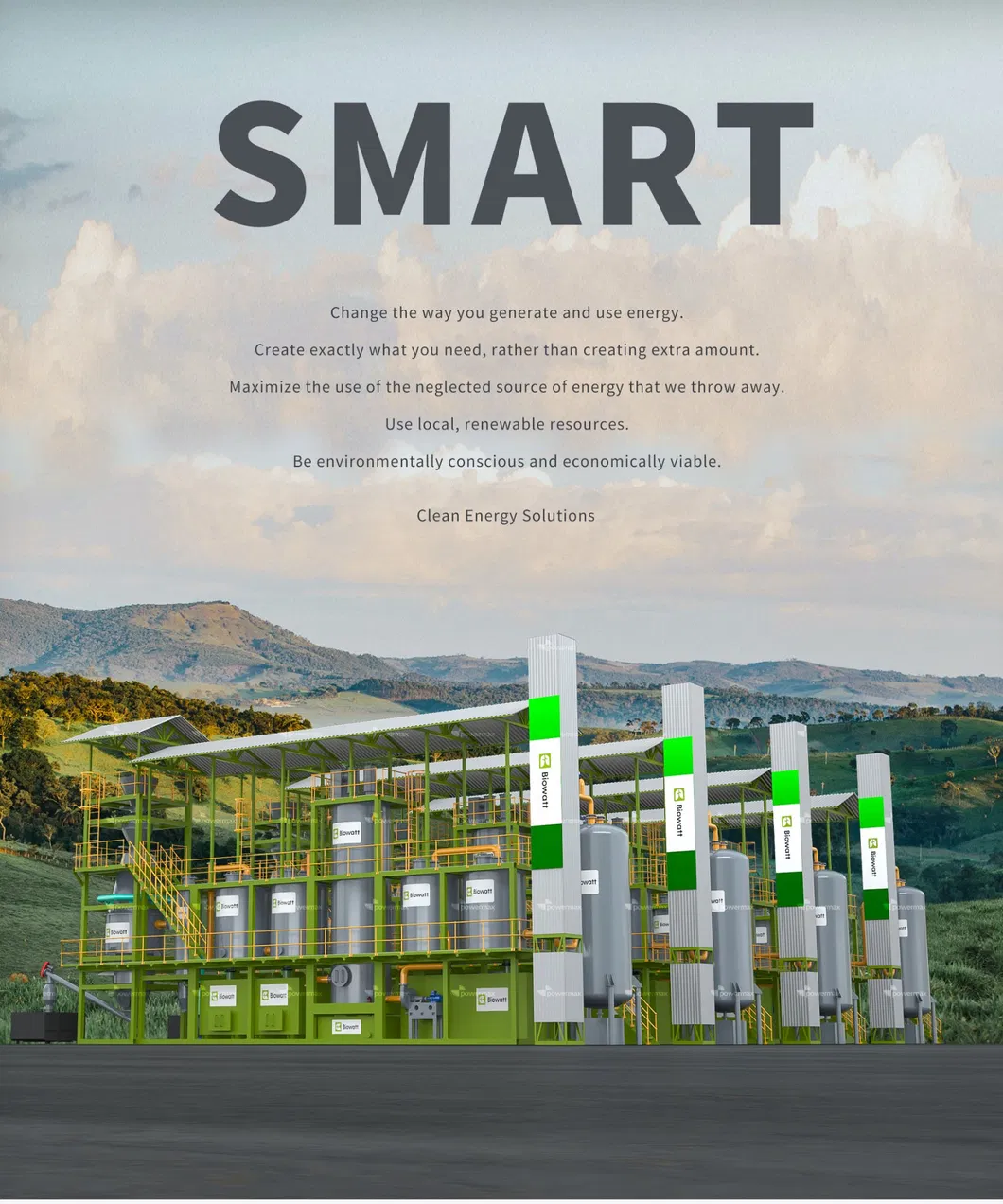 Biomass Power Generation System