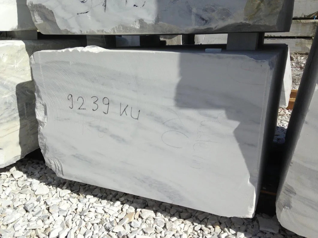 Natural Stone White Grey Veins Bianco Carrara Marble