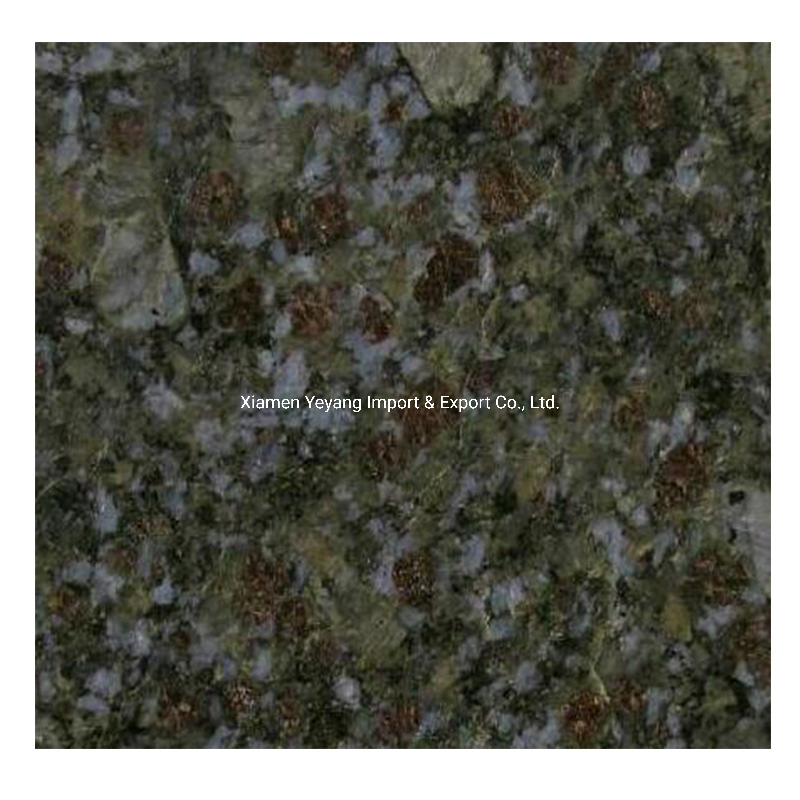 Farfalla Blue Granite Floor Tiles/Slabs for Bathroom Prefabricated Slab/Worktop/Countertop