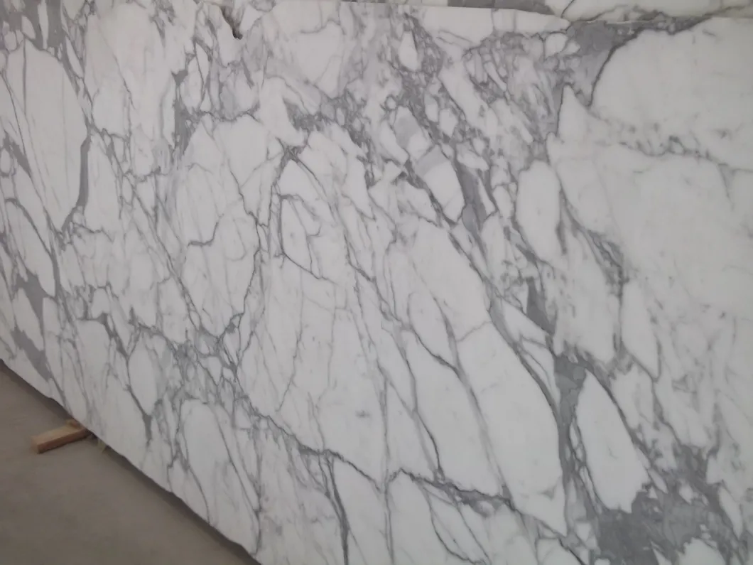Natural Stone White Grey Veins Bianco Carrara Marble