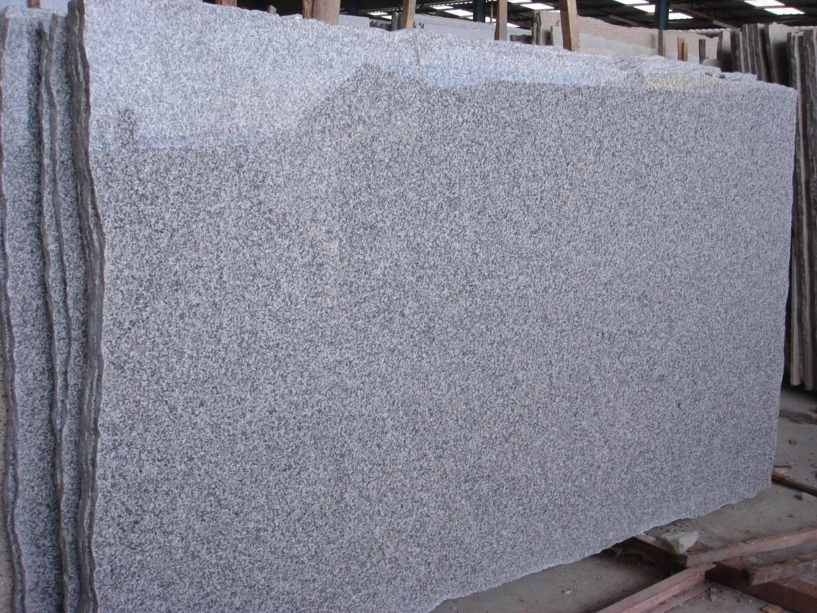 G623 Grey Rosa Beta Granite Kitchen Countertops with Backsplash