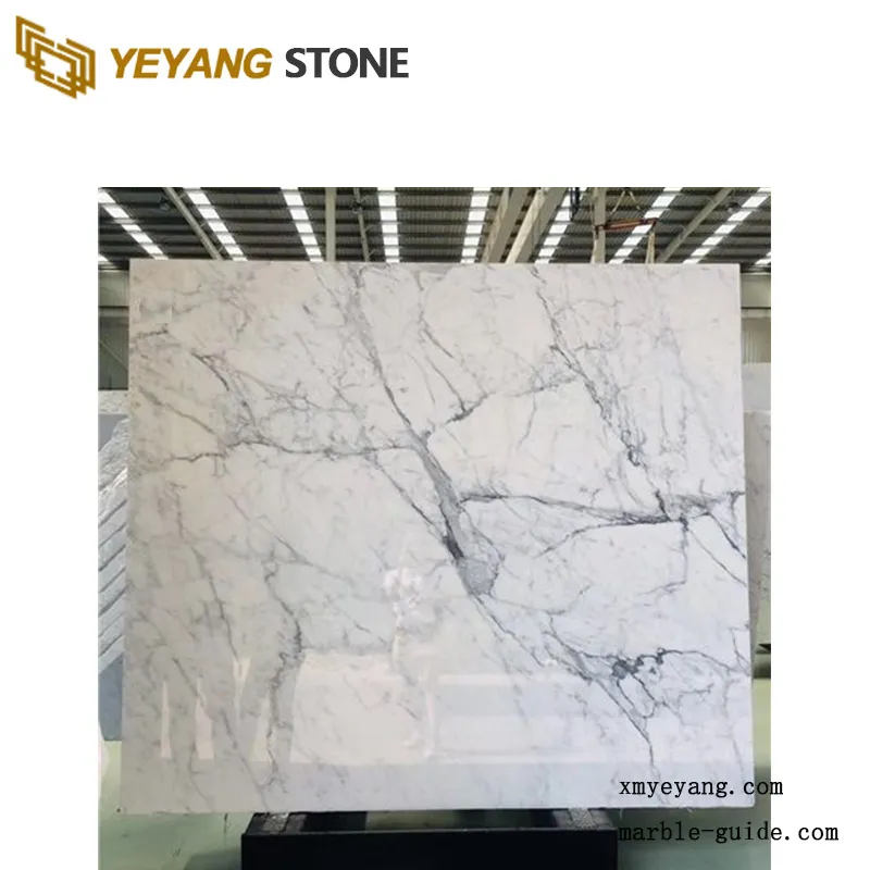 Carrara White Marble Texture