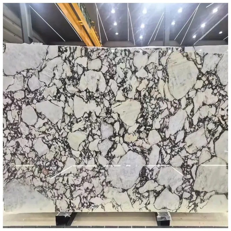 Calacatta Breccia Viola Marble Slabs