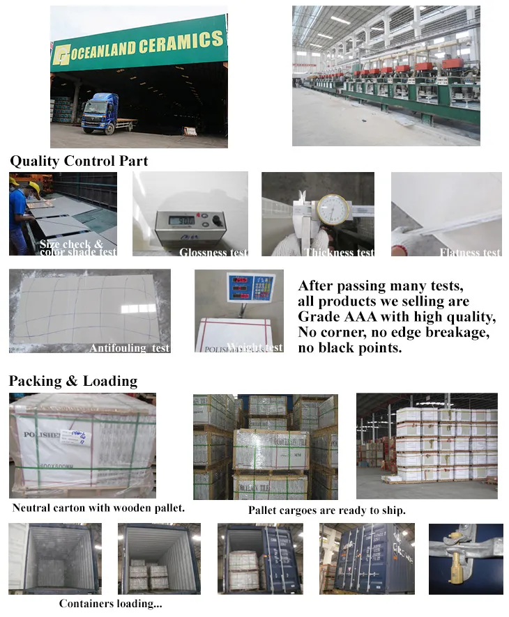 Marble Tile Flooring S60234 Detail 2