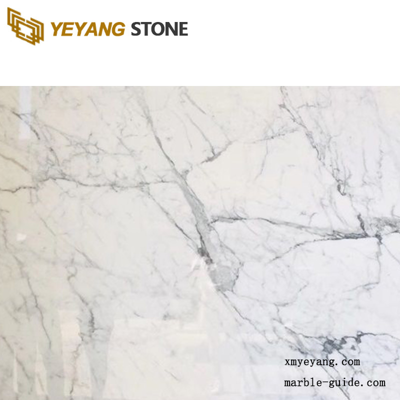 Natural Stone Carrara White Bianco Marble Slabs Floor Tiles