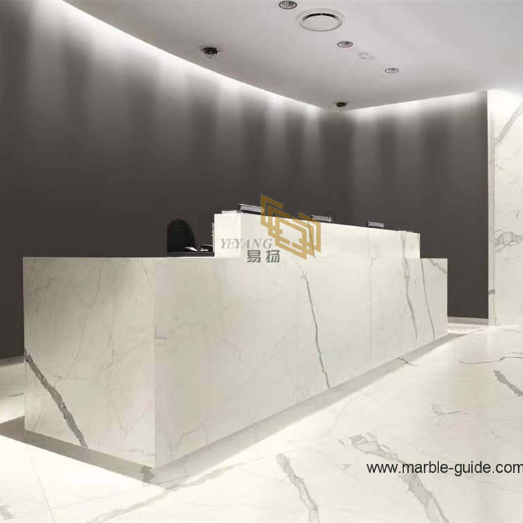 White Carrara Marble Calacatta White Marble Slab for Floor/Wall Kitchen/Bathroom/Vanity Hotel Countertop