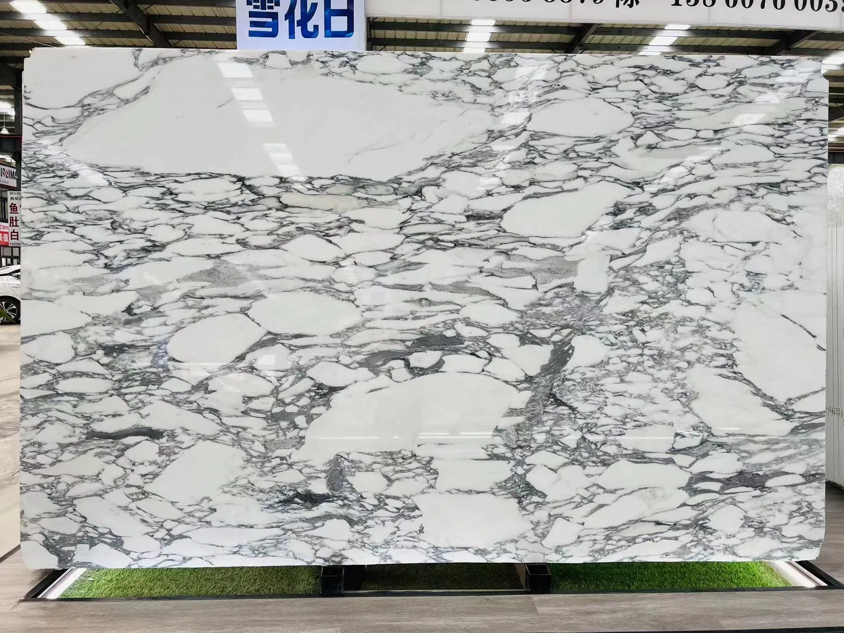 Decoration Material Natural Stone Italian Marble Arabescato White