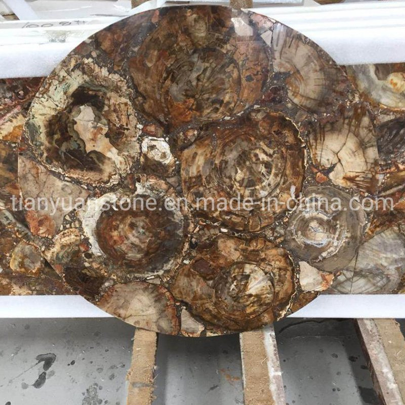 Home Decorative Gemstone Petrified Wood Fossil Stone Flooring