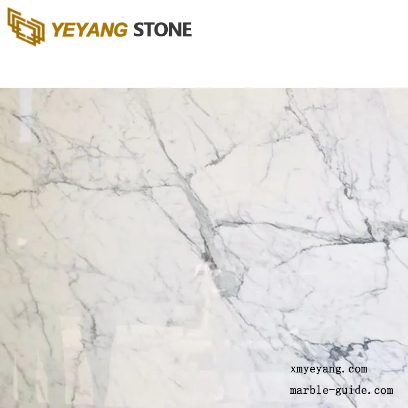 Carrara White Marble Slab