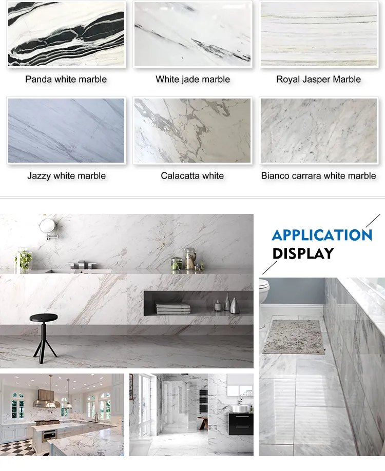 Calacatta Gold Marble Application