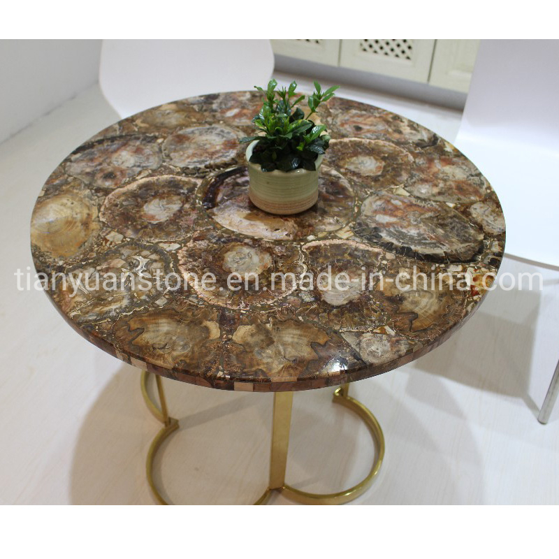 Home Decorative Gemstone Petrified Wood Fossil Stone Flooring