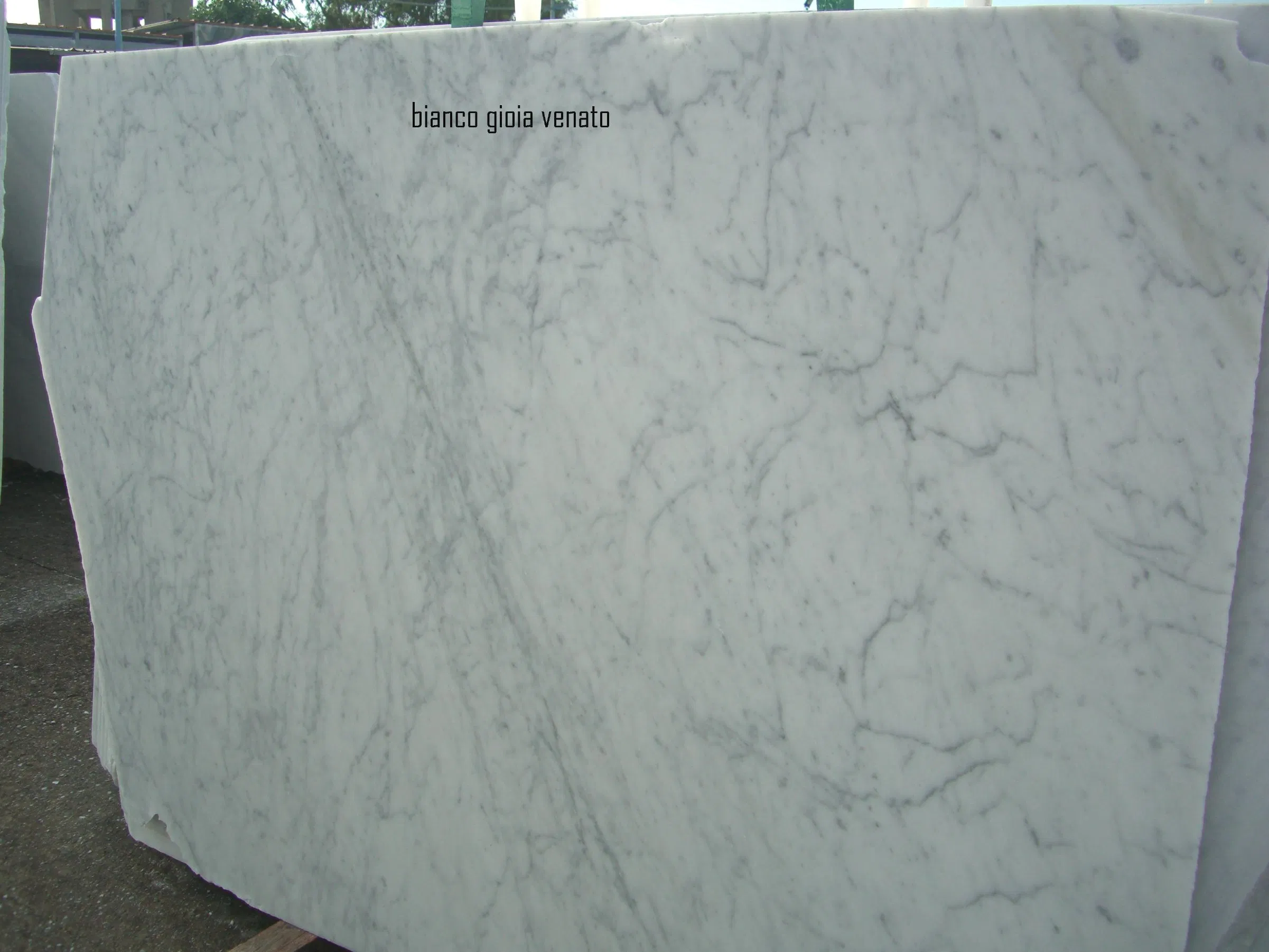 Chinese Hot Selling Products Italian Carrara White Marble Tile