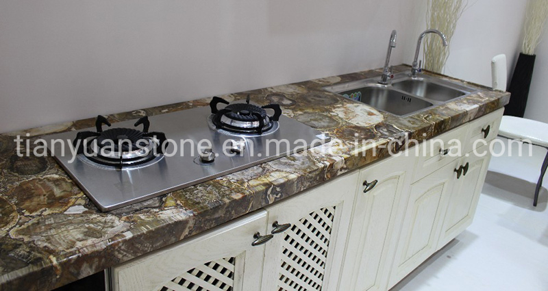 Home Decorative Gemstone Petrified Wood Fossil Stone Flooring